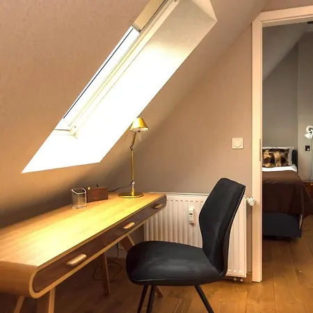 Apartment Apartmenthaus Am Dom Junior Mit Parkplatz Zwickau
