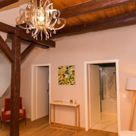 Apartmenthaus Am Dom Junior Mit Parkplatz Appartement Zwickau